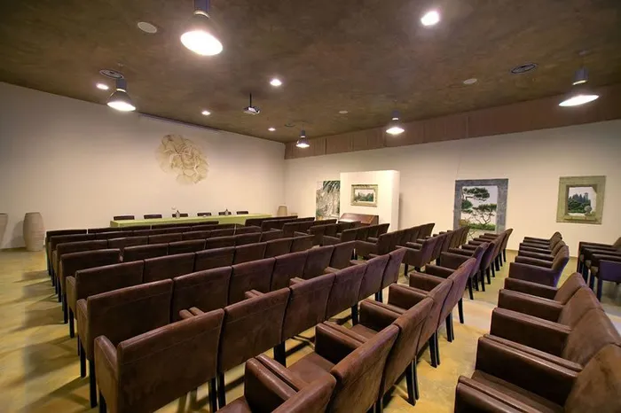 Sala congressi con file di poltrone in pelle marrone e tavolo dei relatori