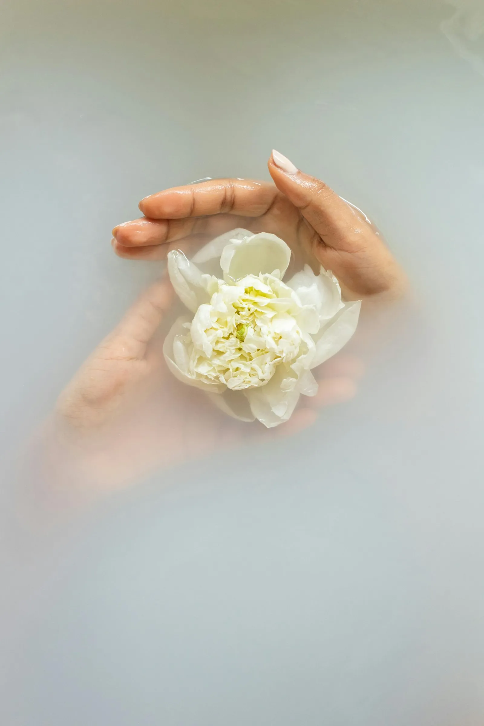 Mano che regge un fiore bianco sull'acqua lattea di una vasca
