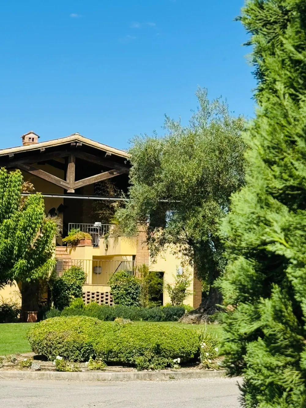 Facciata gialla del relais con travi in legno a vista, ulivo e conifere nel giardino